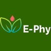 E-Phy